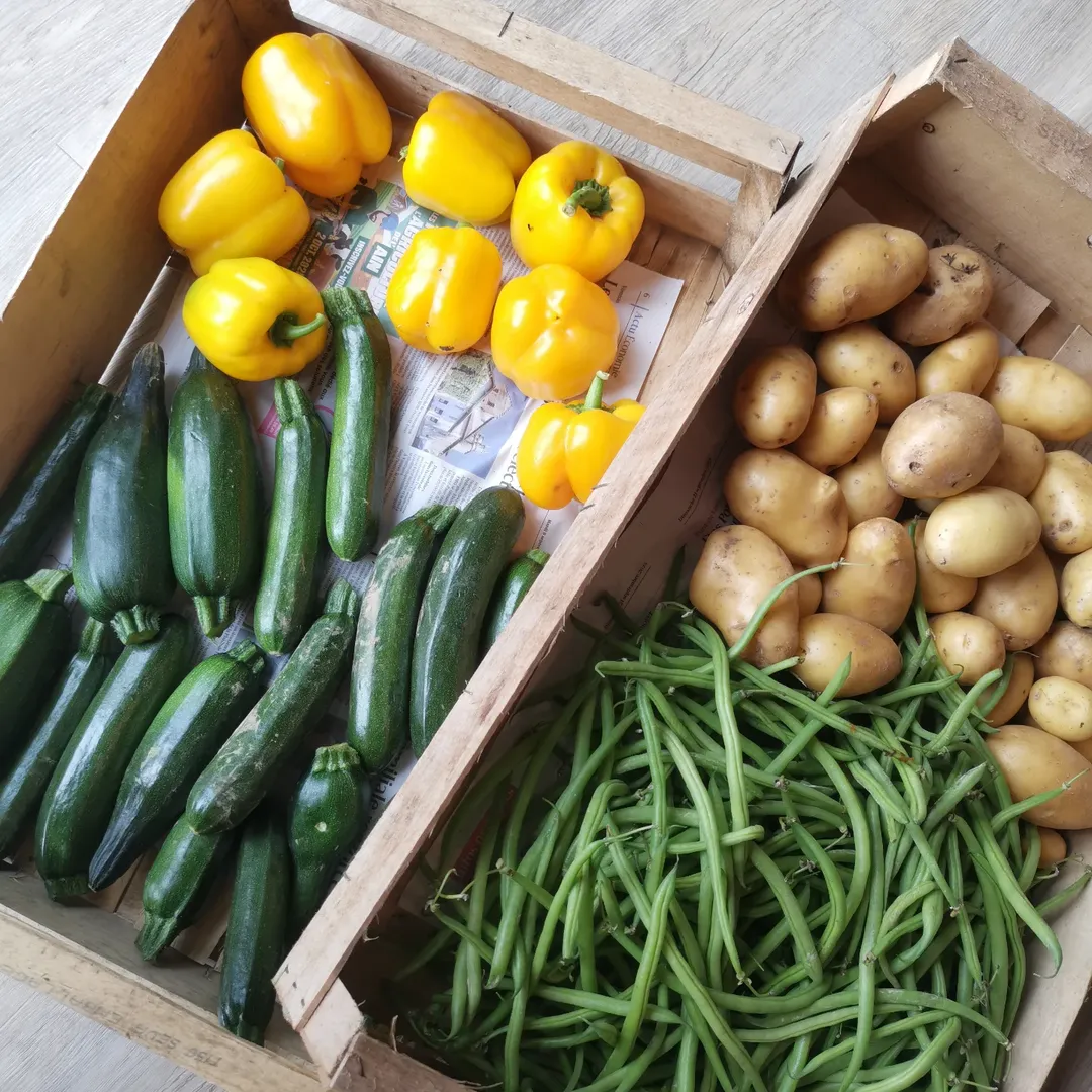 SnapInsta.to_559675223_17869424631445631_1019297871011263672_n