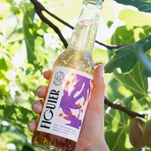 Soda NOS JARDINS IMPARFAITS - Feuille de Figuier, Figue de Barbarie et Verjus