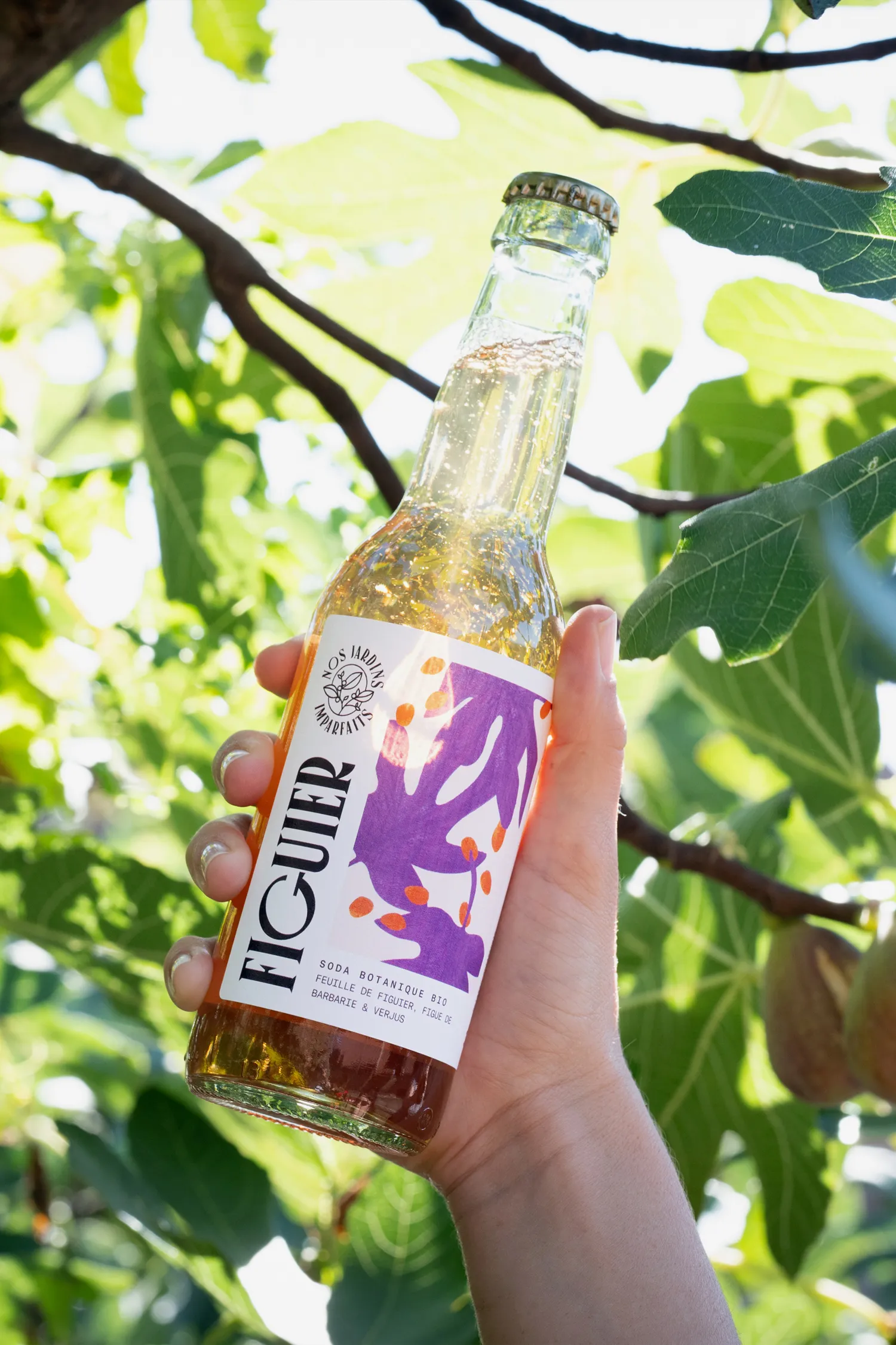Soda NOS JARDINS IMPARFAITS – Feuille de Figuier, Figue de Barbarie et Verjus
